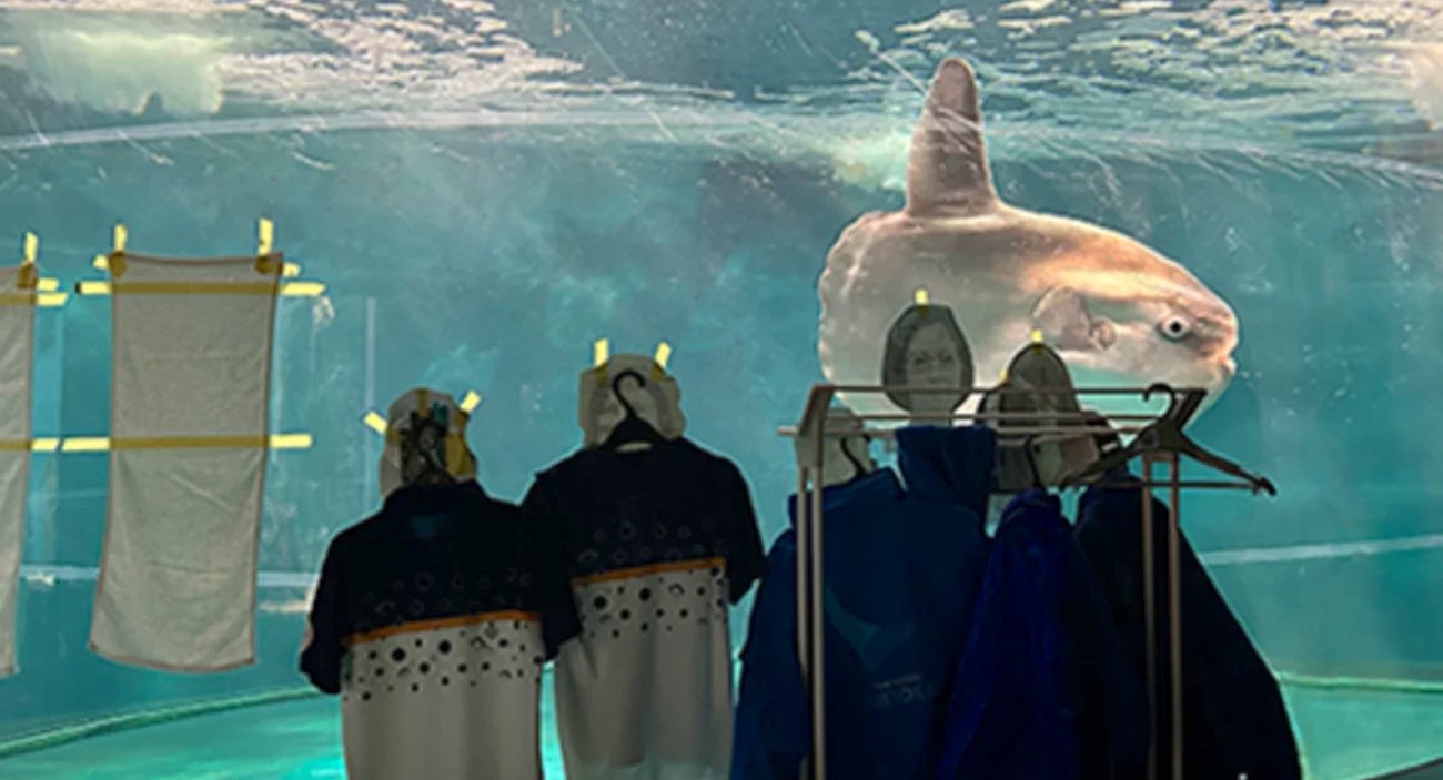 Aquarium Under Renovation Cheers up Lonely Sunfish with Cardboard Cutouts of People