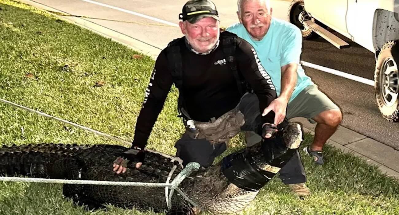 Florida Man Survives Gator Attack After Neighbors Drive Over the Beast With SUV