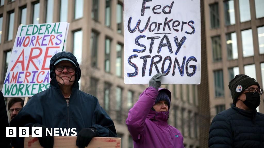 Judge halts Trump’s government worker buyout plan: US media