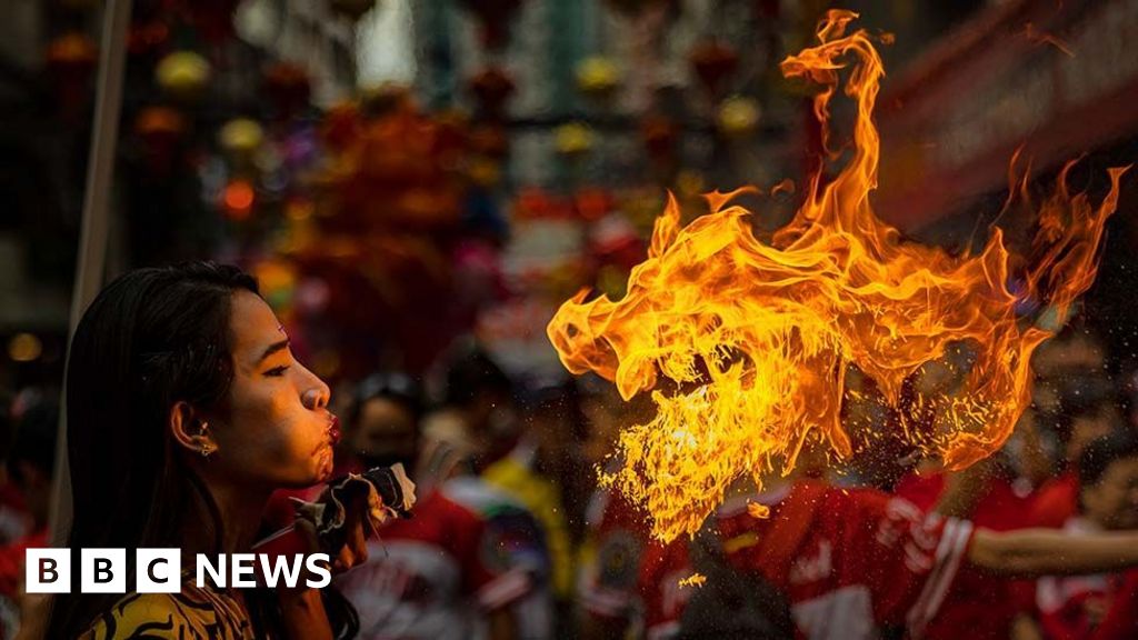 31 January 2025: Photos of the week