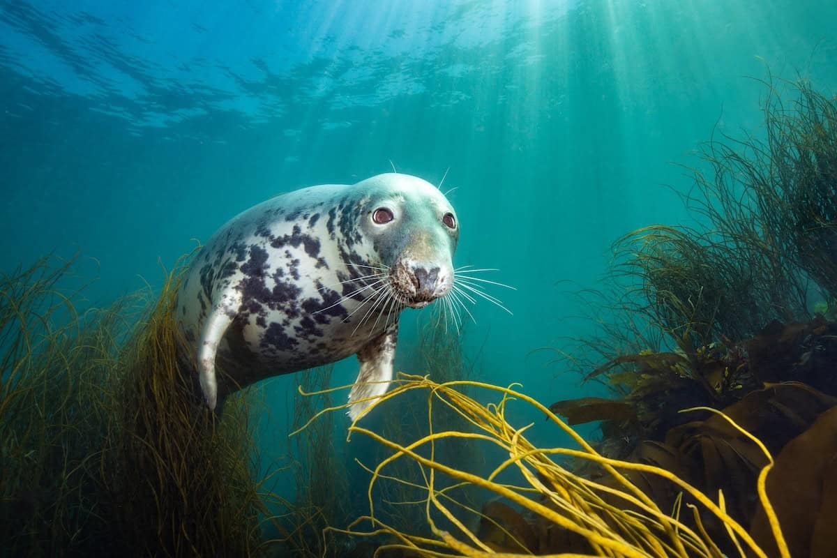 What went right this week: how to stop politicians lying, plus more