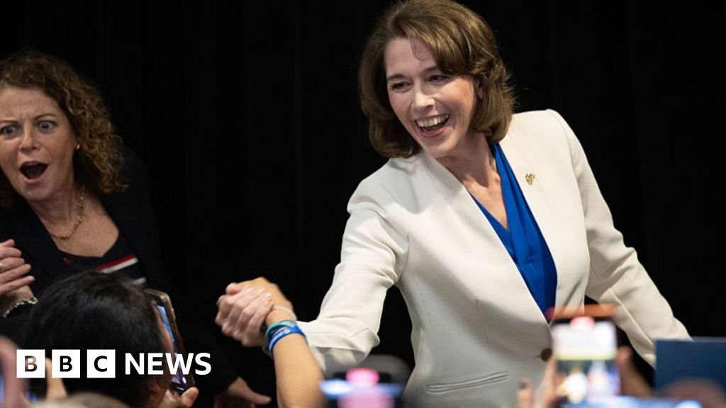 Liberal Susan Crawford wins court seat in setback for Elon Musk