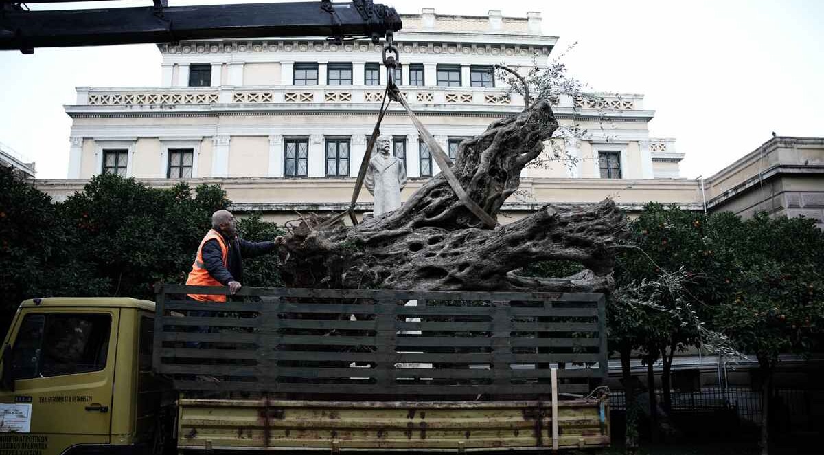 Sweltering Athens Finally Plants Thousands of Trees and Renovates Iconic Acropolis Hills with Greenery