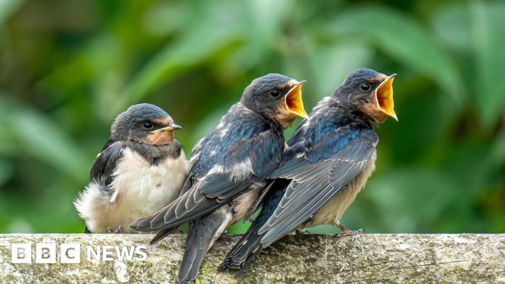 Spring wave of hot weather to be treat for nature lovers