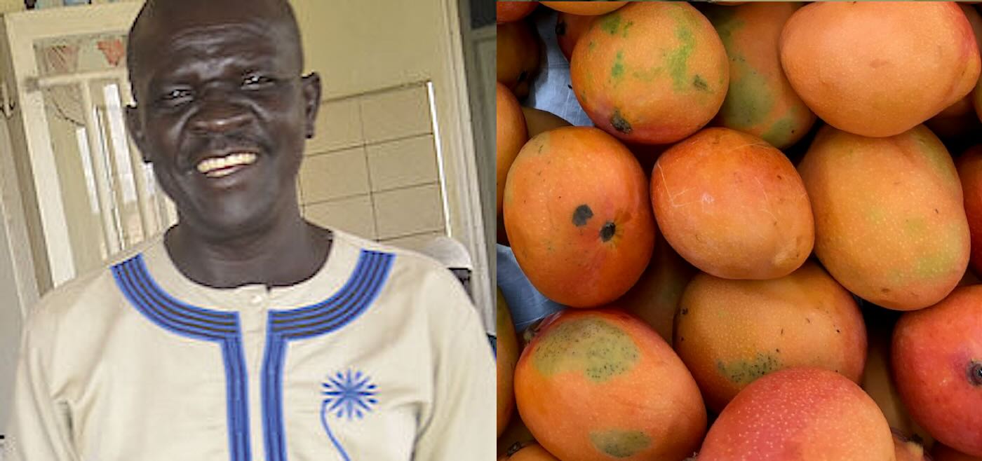 Patients Were Malnourished While Fruit Rots All Around