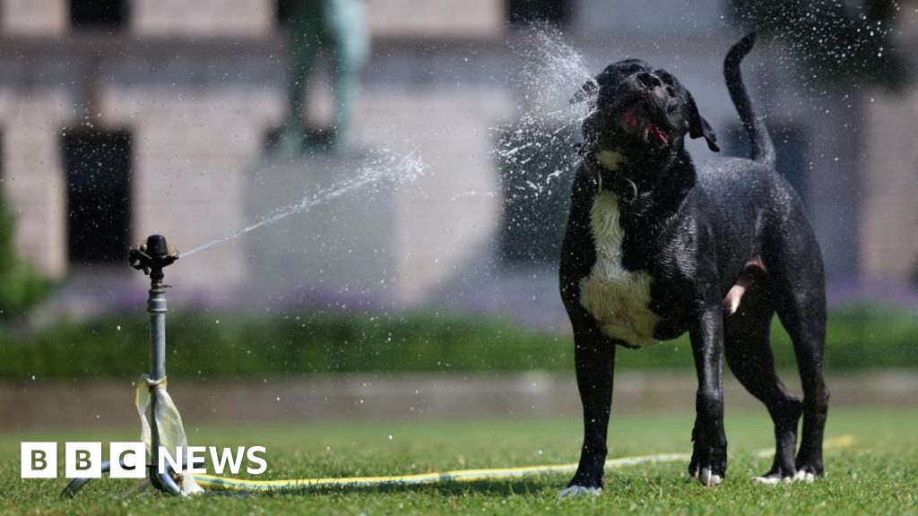 Temperatures to hit 33C for hottest two days in a row
