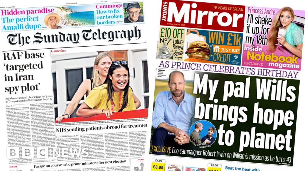 โSpy plot arrest’ and โmy pal Willsโ