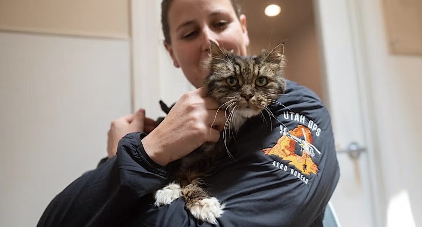 Cat Survives 380-ft Fall From Bryce Canyon–And Gets Adopted by Pilot Who Rescued Her