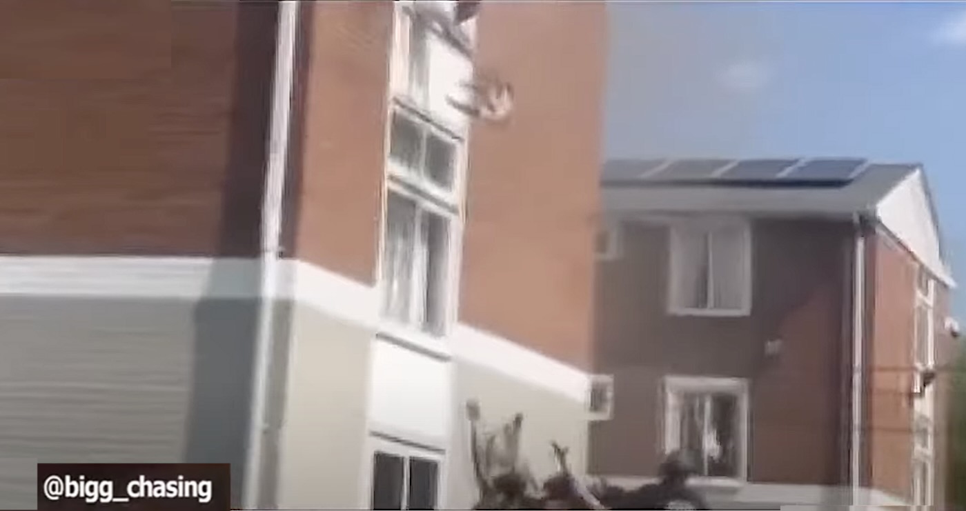 โDrop the baby, I am going to catch herโ