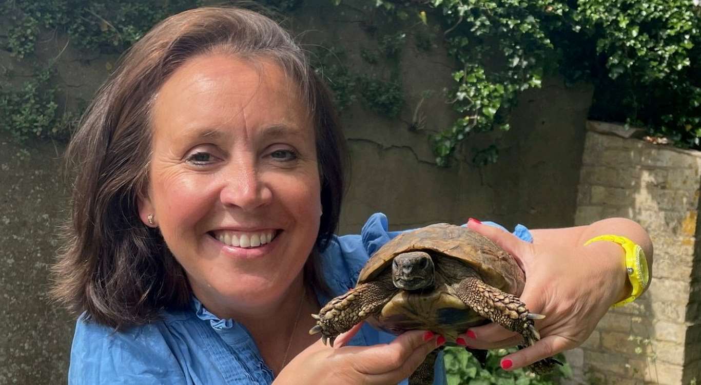 Lovelorn Tortoise Found a Year After it Escaped in Search of a Mate at 0.00012mph