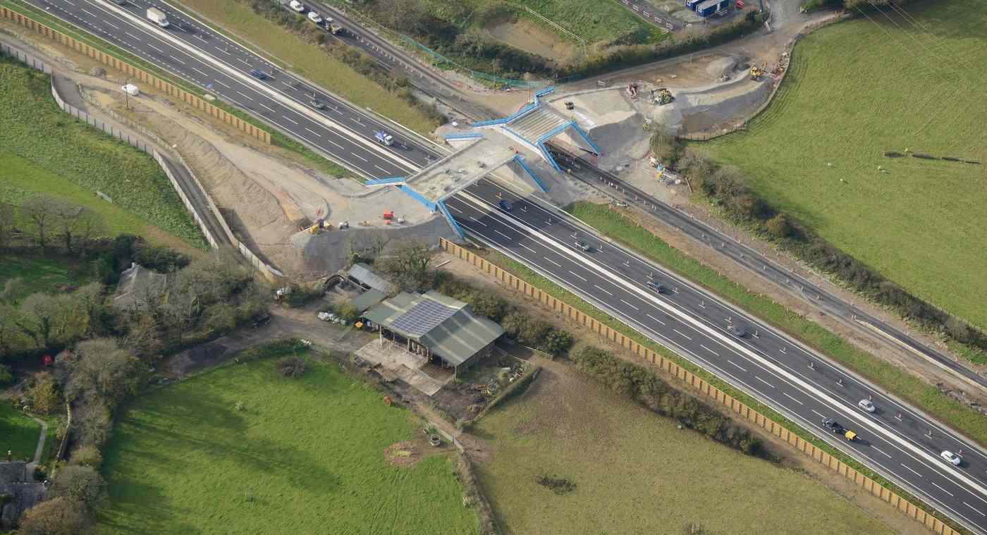 Work Begins on Multi-Million Dollar ‘Badger Bridge’ to Enable Wildlife to Cross in Cornwall
