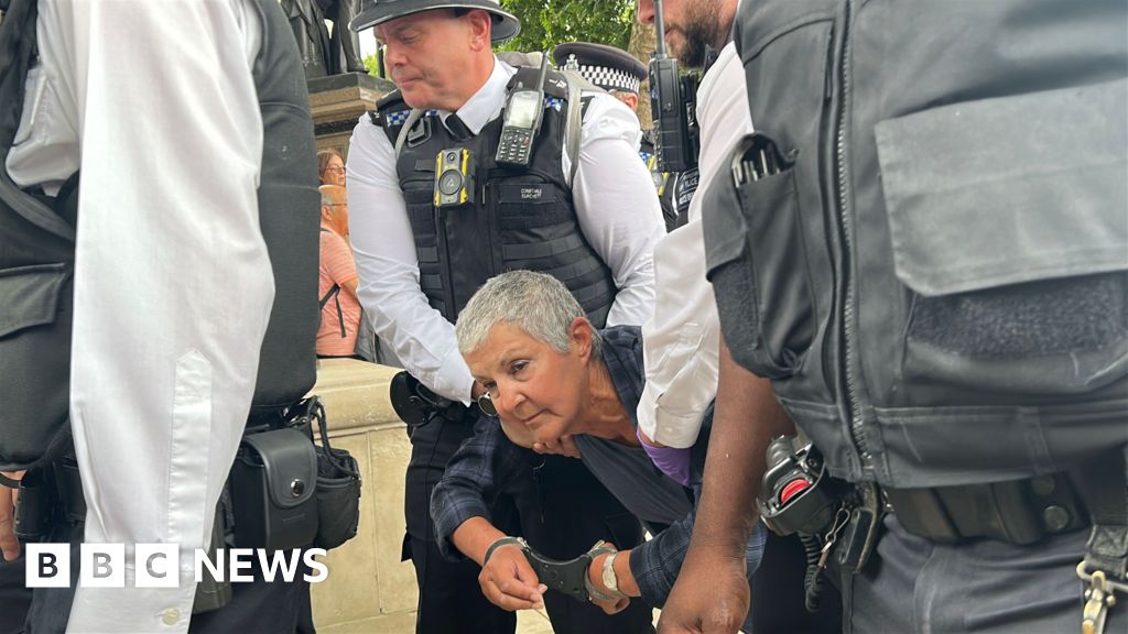 More than 20 arrested at protest, Metropolitan Police say