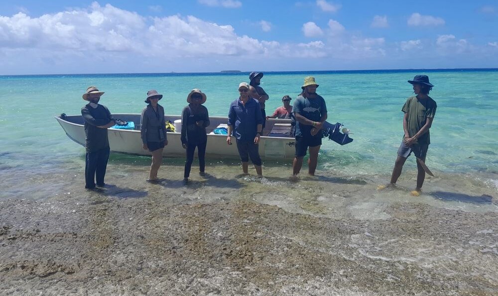 Rats and Yellow Crazy Ants Eradicated on 6 Polynesian IslandsโNow, Birds and Turtles are Flourishing