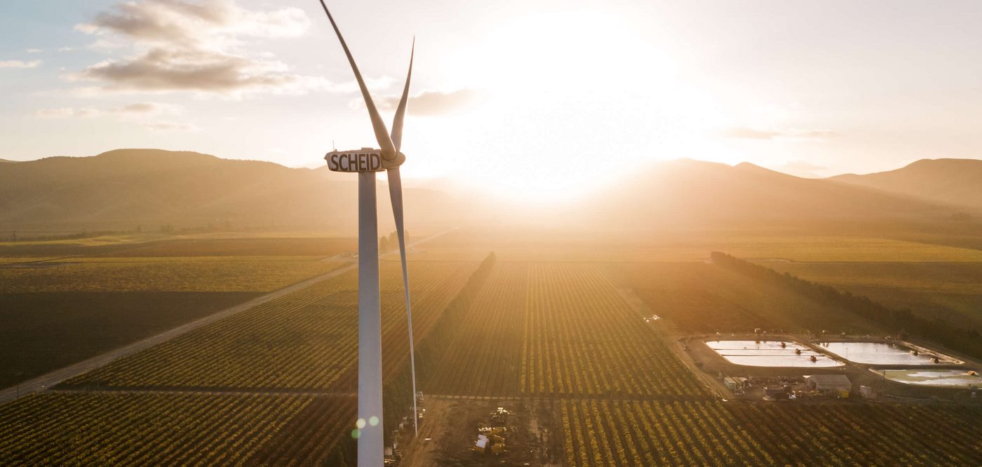 Coastal Winds Mature This Vineyardโs Grapes to Perfectionโand Power Their Winemaking Sustainably