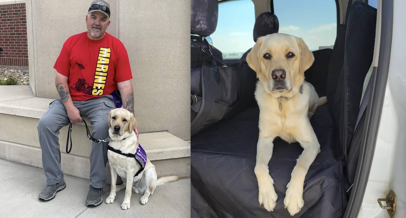 Hero Service Dog Senses Ownerโs Irregular Heartbeat โSaving the Veteran From a Catastrophic Stroke