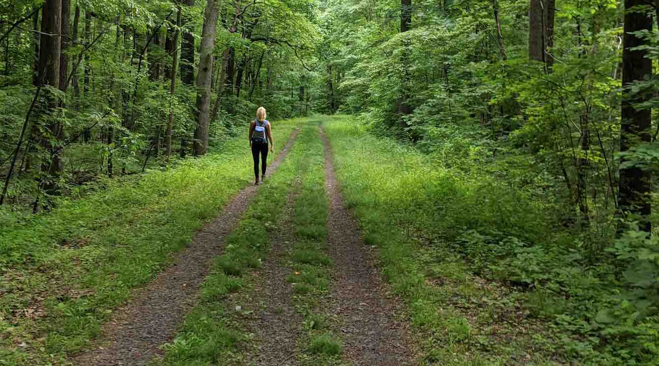 Virtual Reality Experiences Can Beat Painkillers for Relief, New Study Using Oregon Waterfalls Finds