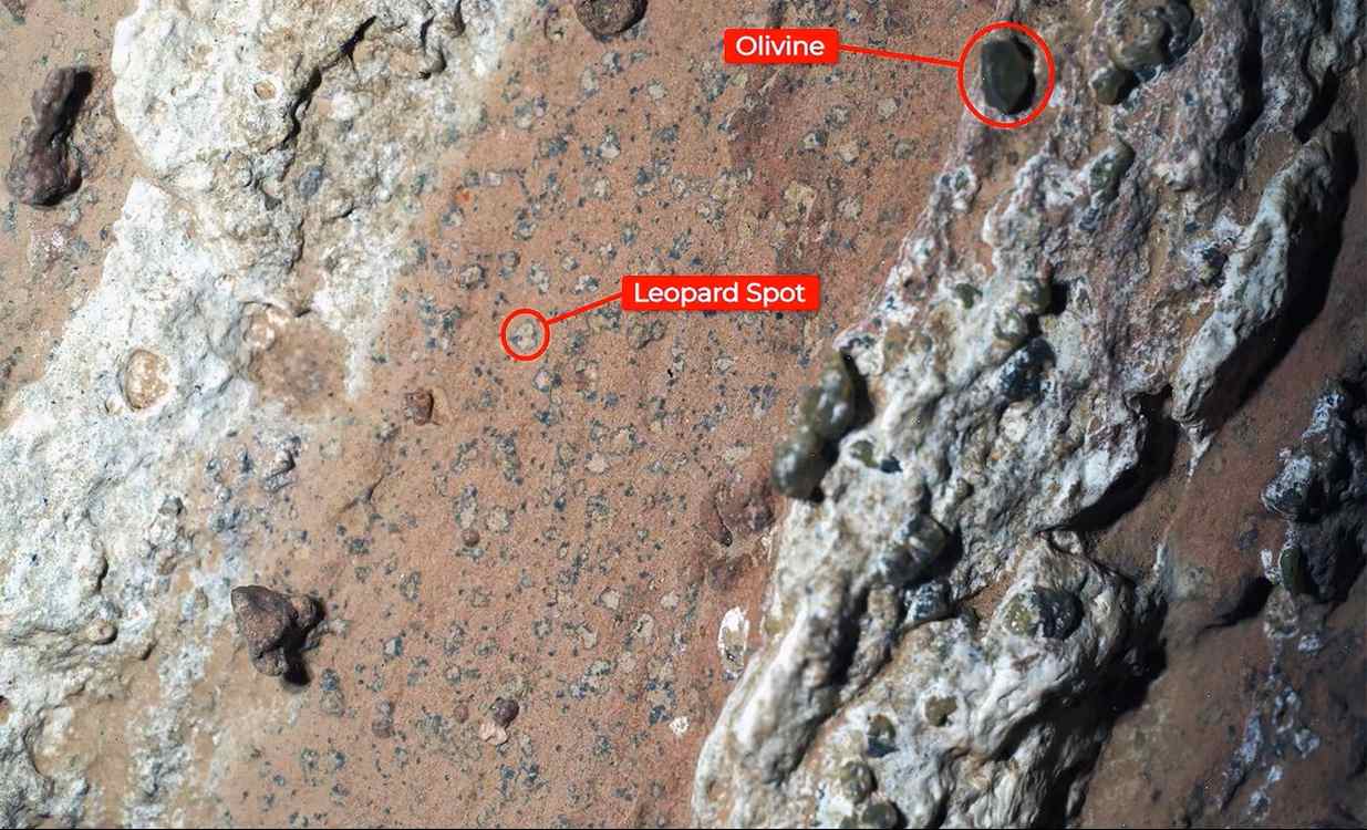 ‘Groundbreaking’ NASA Discovery Is ‘Closest We Have Ever Come’ to Finding Life on Mars