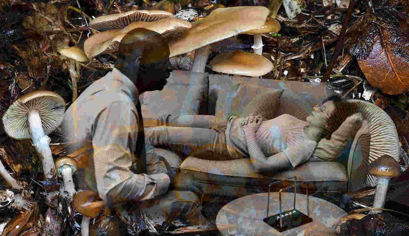 Depression Patients Treated with Psychedelic Mushrooms 5 years ago Are Still ‘Symptom-Free’