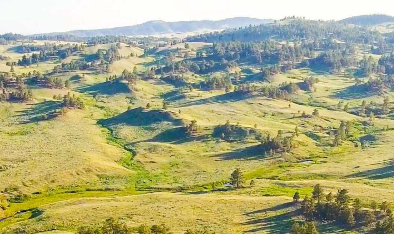 Land was Owned by Billionaires Who Didnโt Allow Access to National Monument โ Now it’s Open