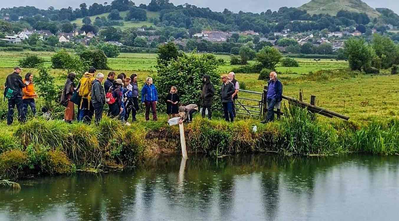 Activists Use Folklore to Inspire Conservation Effort to Resurrect a Ghost of England’s Past