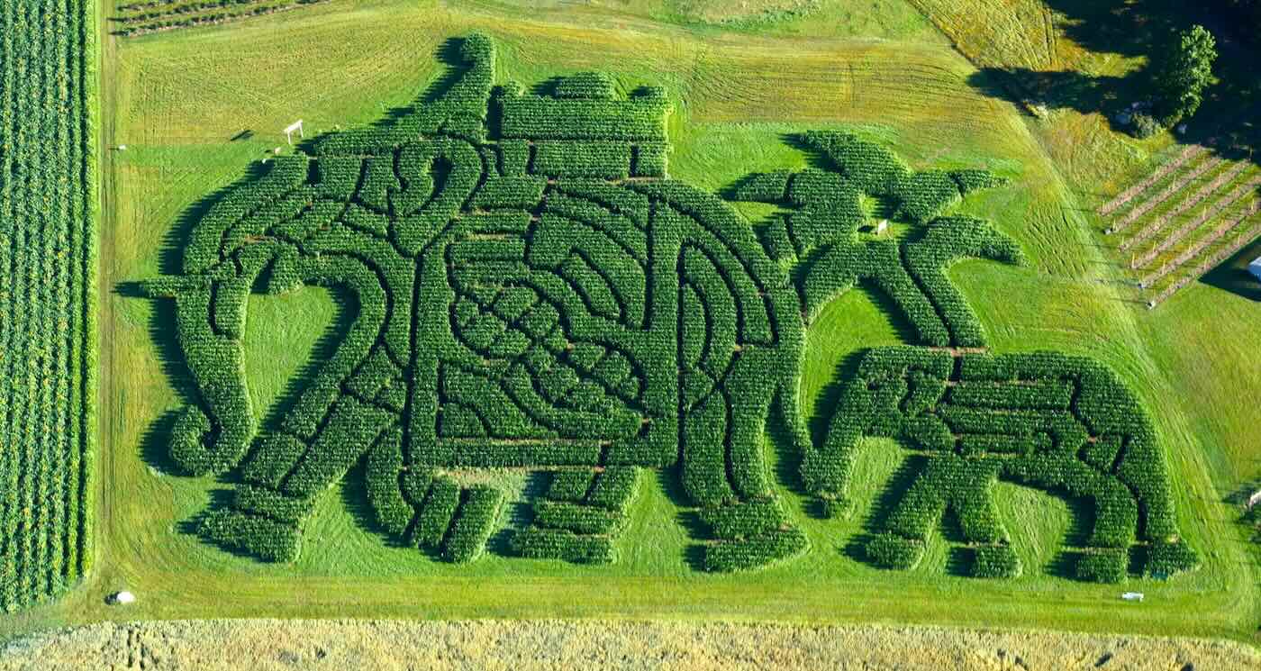 Maine Orchard Wins Best Corn Maze in America for 4th Year Straight by Staying True to Mainers