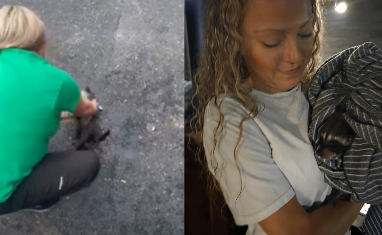 Kentucky Nurse Revives Drunk Raccoon Found in Dumpster By Using CPR