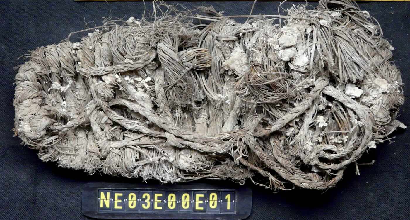 Scientists Found a 650-year-old Shoe in a Vulture Nest Along with Dozens of Other Curiosities