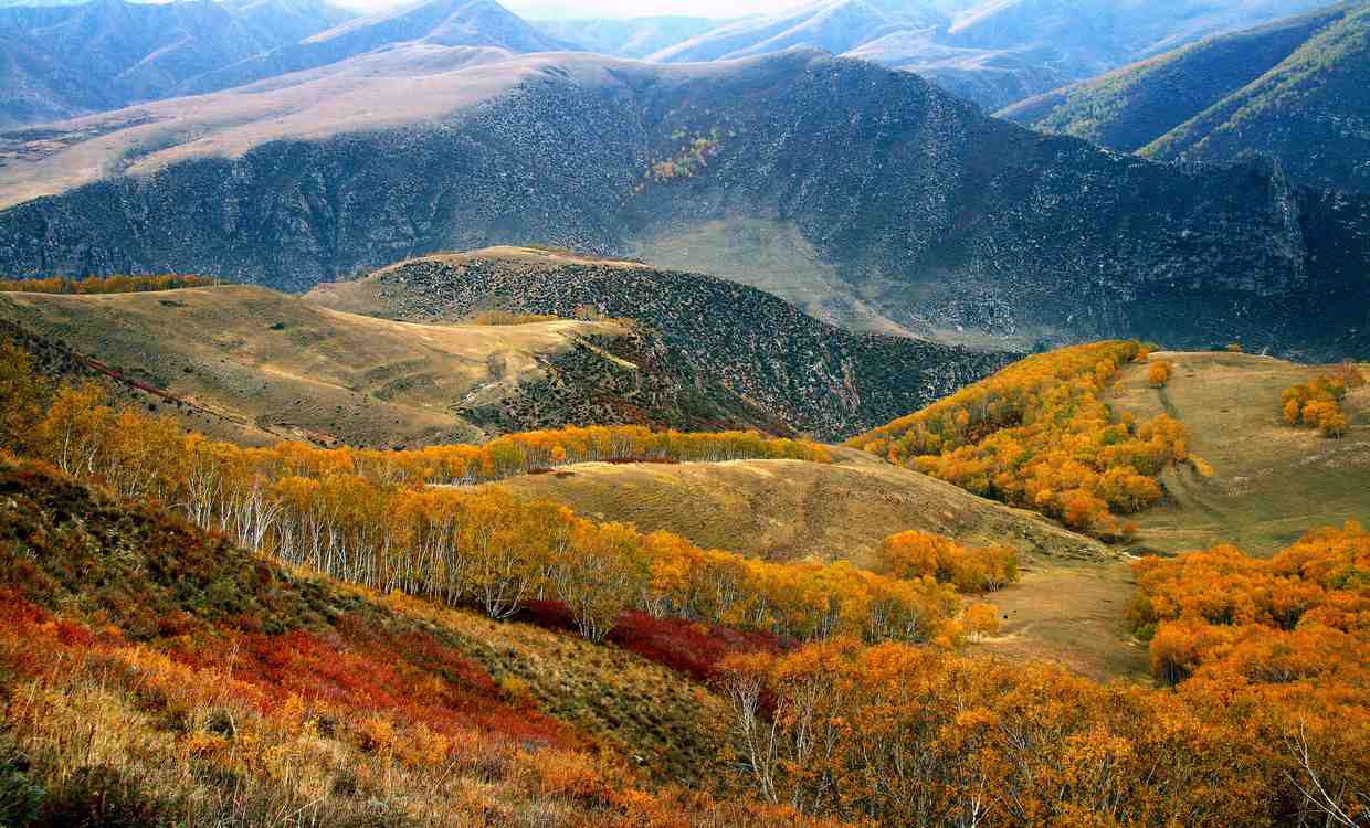 UNESCO Adds an Area the Size of Bolivia to Biosphere Reserve System to Protect 5% of the World’s Land