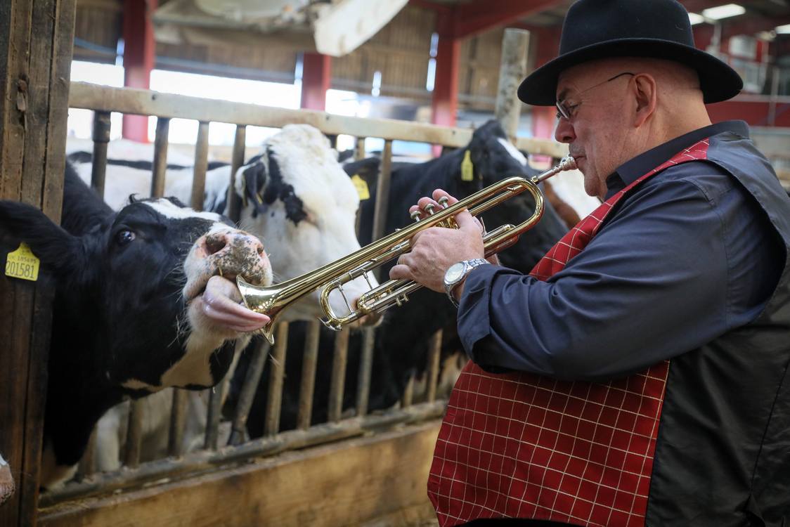 Farmers Invite Jazz Band to Play Moosic for Cows in Bid to Boost Milk Production – WATCH
