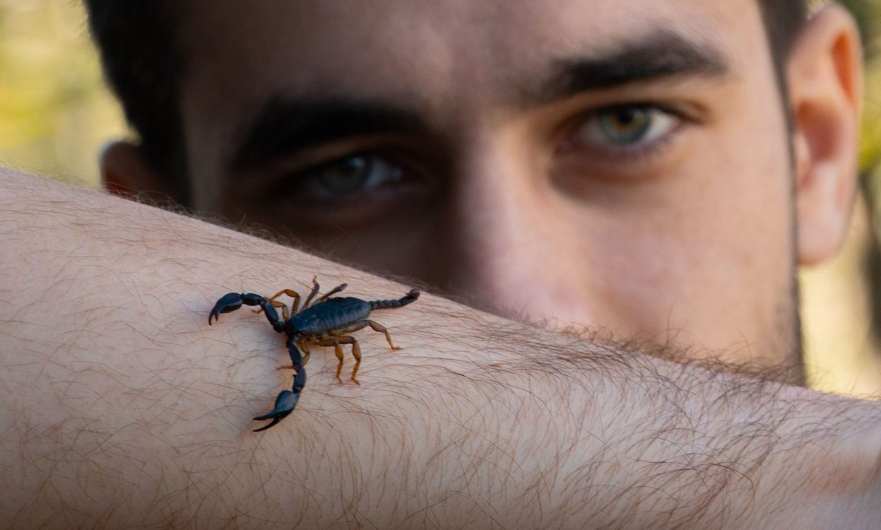 Scorpion Venom May Provide the Next Breast Cancer Breakthrough