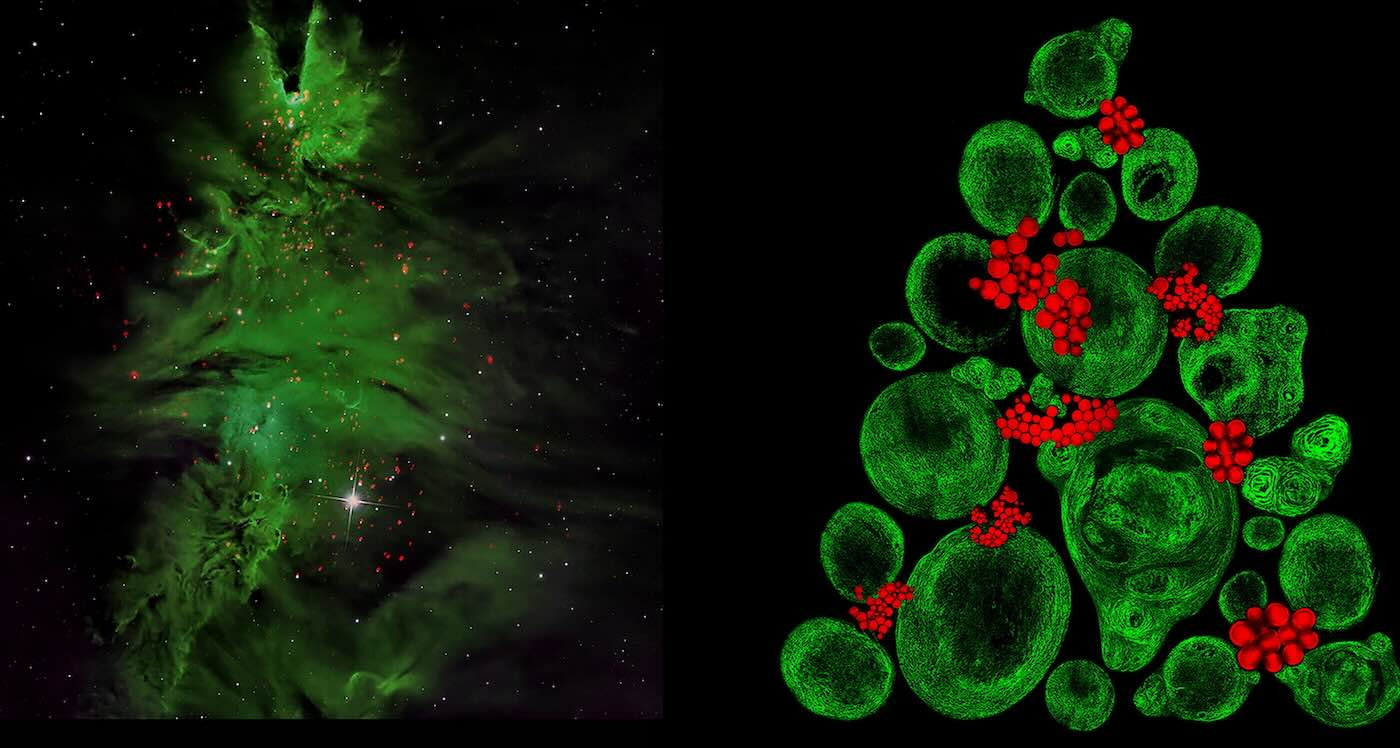 Microscopic ‘Christmas Tree’ is Remarkable Highlight of Science Project Comparing the Vast and Small