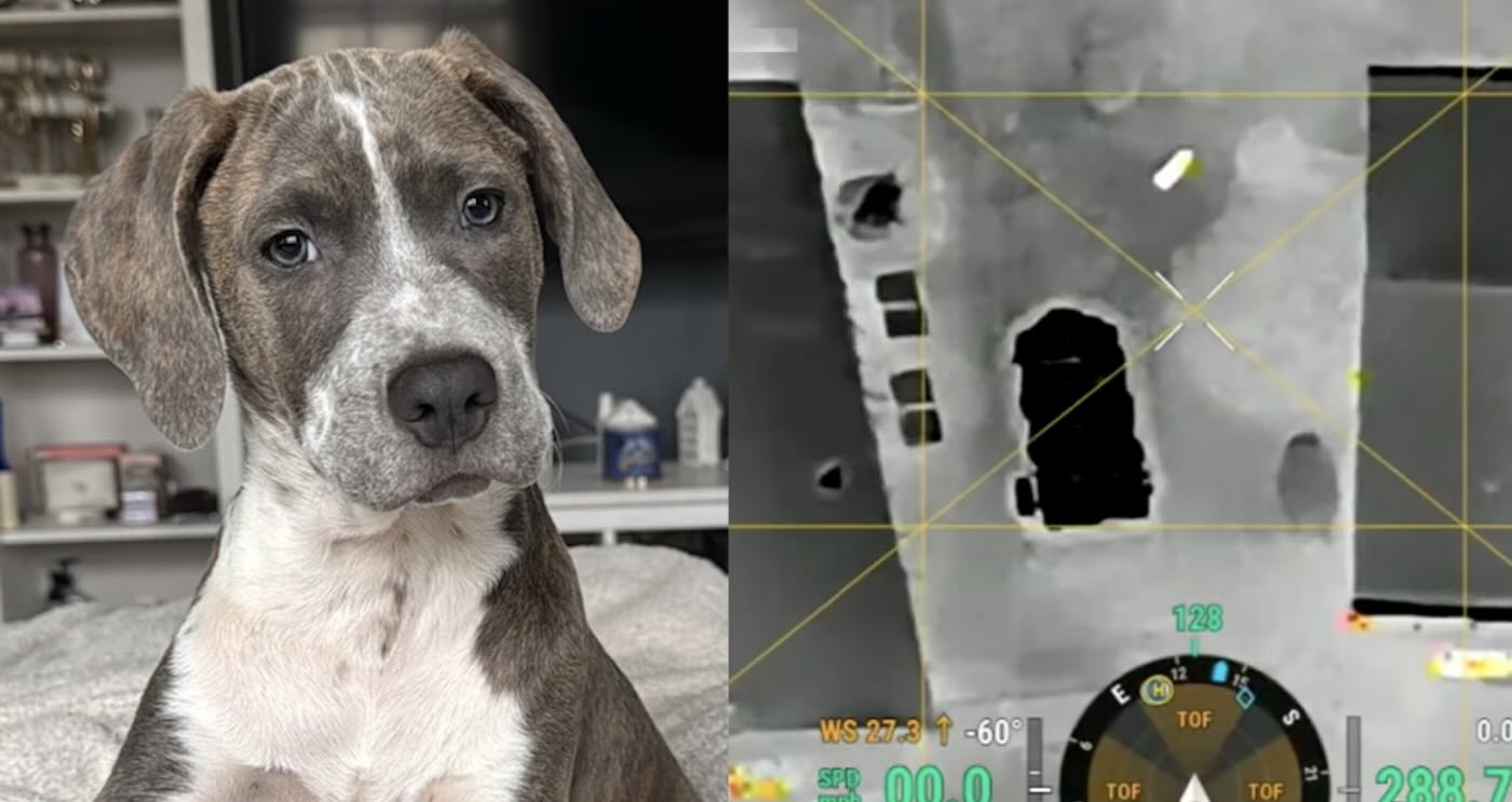 Veteran Inspired Drone Company Finds Lost Dog in Frigid Cold in Just 41 Minutes–On Mission to Rescue Pets or People