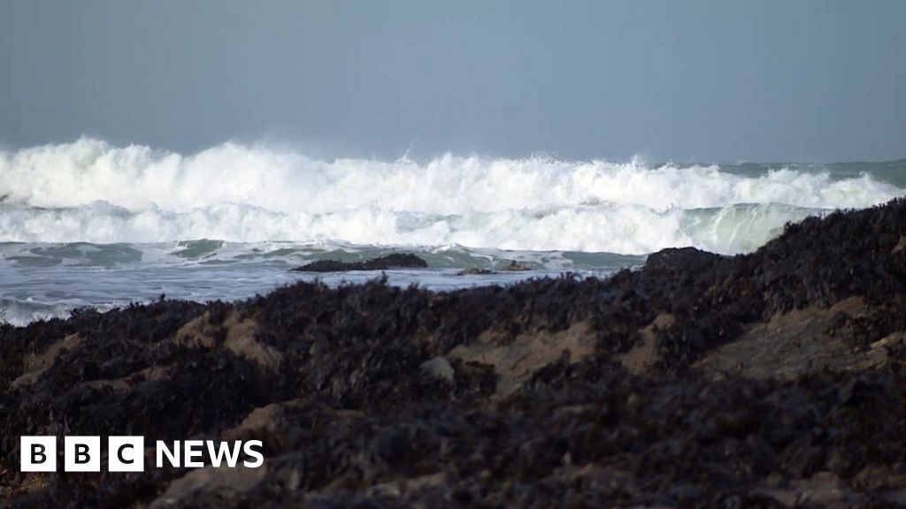 Man dies in Cornwall as tree falls on caravan in Storm Goretti