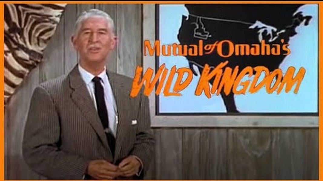 Good News in History, January 6